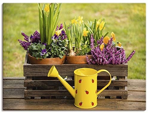 ARTLAND Wanddeko Leinwand Bilder Wandbild 80x60 cm Garten Blumen Frühling Narzissen Stiefmütterchen Landhaus S8IP