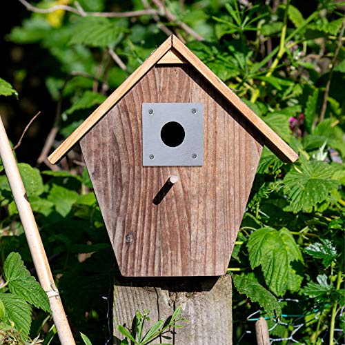 Simply Hardware® Satin Stainless Steel Bird Box Protector/Nest Box Protection Plate (25mm - 32mm Holes) - 70 x 70mm - 28mm Hole