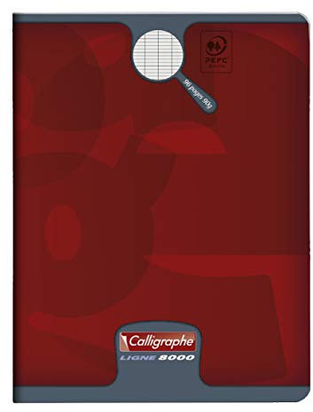 Clairefontaine 108724C - Packung mit 10 Heften Calligraphe 48 Blatt, 17x22cm, 90g, französische Lineatur, geheftet, farbig sortiert, 1 Pack
