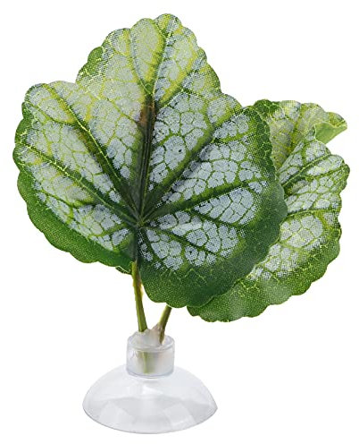 Hamac de Poisson Betta, Hamac Vert de Feuille de Lit de Betta pour le Poisson de Betta, Plante de Hamac de Feuille de Lit de Betta pour L'aquarium de Réservoir de Poissons