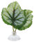 Hamac de Poisson Betta, Hamac Vert de Feuille de Lit de Betta pour le Poisson de Betta, Plante de Hamac de Feuille de Lit de Betta pour L'aquarium de Réservoir de Poissons