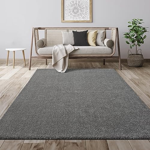 Mia's Teppiche Giant Moderner Flauschiger Dichter Kurzflor Wohnzimmer Teppich, Supersoft Feeling, Melange Effekt, Eleganter Glanz