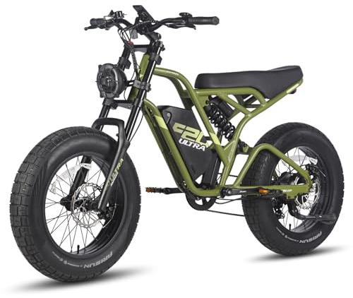Fafrees F20 Ultra E Bike Elektrofahrrad, 48V 25Ah Akku, City E-Bike 20*5.0 Dicke Reifen, Fatbike Motor 79N.m Torque, Mountainbike Reichweite bis zu 80-140Km (Grün)