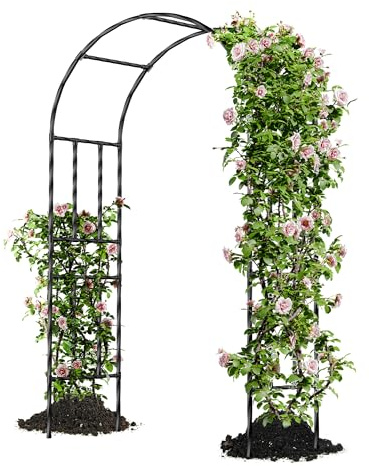Caroeas Arche de Jardin pour Plantes Grimpantes,120x240x40cm,Arceau Métallique pour Rosiers, Tonnelle Décorative Extérieure, Résistante à la Rouille et à la Décoloration