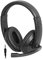 Trevi SK 647 P4 Web-Call-Kopfhörer mit Mikrofon, ideal für Skype-Anrufe, Conference und Games, bequem und leicht, Kabellänge 1,05 m