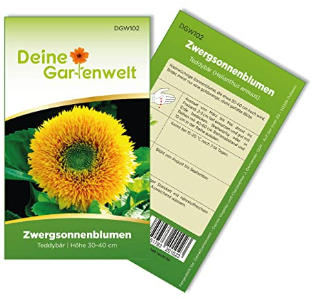 Zwergsonnenblumen Teddybär Samen - Helianthus annuus - Zwergsonnenblumensamen - Blumensamen - Saatgut für 20 Pflanzen