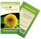 Zwergsonnenblumen Teddybär Samen - Helianthus annuus - Zwergsonnenblumensamen - Blumensamen - Saatgut für 20 Pflanzen