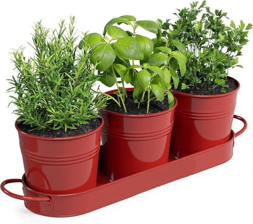 BSTMOME Herb Pot Planter Set with Tray, Decorative Metal Flower Pot Succulent Pots Windowsill Planter Pots for Kitchen Grow Indoor Garden Outdoor Use (Red)