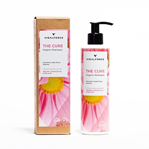 THE CURE Shampoo ohne Sulfate und Silikone | Empfohlen für Keratin-Glättungen | Trockenes oder geschädigtes Haar | Toxin-frei, 99% natürlich und 81% bio | Natürliches Shampoo | Frizziges Haar | 250 ml