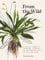 From the Wild: An essential companion to identifying, cooking and enjoying common wild plants for health and healing