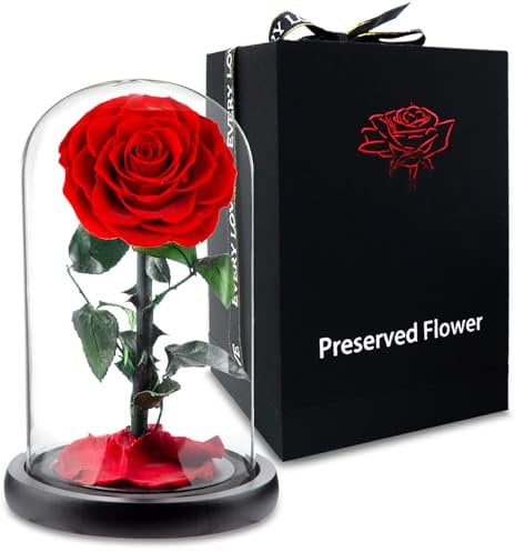 APKOL Rosa Eterna Bajo una Cúpula de Cristal, Rosa Eterna Natural Preservada, Flor Eterna, San Valentin Regalos Mujer, Regalos para Madres,Regalo Novia,Regalos para Mujer Navidad,Rojo