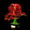 LED Lighting Kit for Lego 10348 Japanese Red Maple Bonsai Tree - Custom Lights to Mount - Fits This Model (Model Not Included)