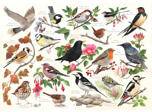 The House of Puzzles - Birds Age 3+ In My Garden Jigsaw - 1000 Piece Jigsaws For Adults, Artist Illustrated, Scenic Landscape, Deluxe Puzzle Gifts