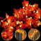 Ainkedin Guirlande d'automne,30 Guirlandes lumineuses, Gugirlande de feuilles d'automne, Decoration halloween noel, Décoration de Thanksgiving, Decoration murale