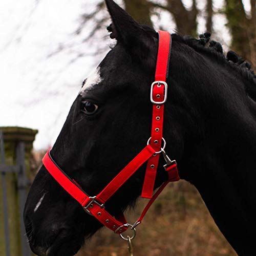 Pferdelinis Halfter für Warmblut, Vollblut, Kaltblut, Pony – Stallhalfter, Weidehalfter, 2-Fach verstellbare Dornschnallen, sicher & reißfest (Rot, Warmblut (Full))