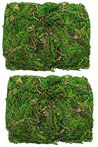 100g Decorative Dried Green Moss – Real Preserved – Perfect for Plants & Flower Arranging or Wreath Making – Terrariums or Reptile Cages