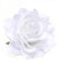Wisafory 20 Stück Künstliche Blumenköpfe Rosen Blütenköpfe RosenKöpfe Kunst Blumen Rosen Köpfe Kunstblumen Rosen Seidenblumen Dekoration für Hochzeit Party DIY Basteln 11 cm Weiß