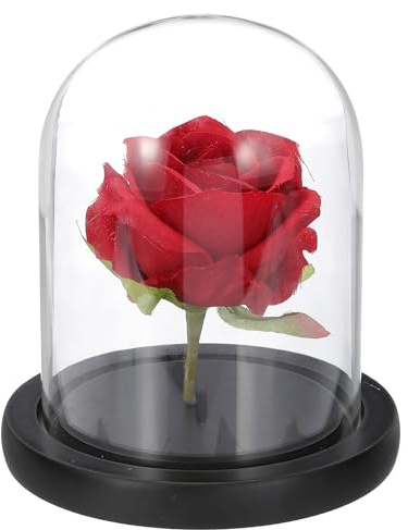 QUARKZMAN Glasglocke Ausstellungsdom 12 x 9 cm 4.7 x 3.5 Zoll Schwarz | Glasglocke Vitrine Holzfuß, Deko Glasglocke, Tischdekoration, Für Pflanzen Heimdekoration Büro Hochzeitsfeier