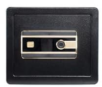 NIKCORP – Safe für Zuhause 30 x 36 x 30 cm – Safe aus Stahl mit PU-gepolstertem Innenraum, Geldaufbewahrung, Schwarz – Biometrischer Fingerabdruckscanner