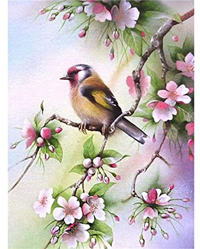YSCOLOR Diamond Painting Perlenstickerei Diamant Vögel Blumen 5D Full Diamond Painting 2019 Bild Strass Kreuzstich 30 x 40 cm