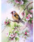 YSCOLOR Diamond Painting Perlenstickerei Diamant Vögel Blumen 5D Full Diamond Painting 2019 Bild Strass Kreuzstich 30 x 40 cm