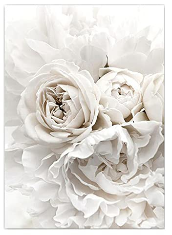 OYFFL Weiße Blumen Pfingstrose Rosen Wandkunst Leinwand Malerei Poster Frische Elegante Leinwand Malerei Bilder Für Zuhause Wohnzimmer Dekor (10,50x70cm Kein Rahmen)