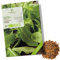BIO Rucola Samen (Eruca sativa, 500 Korn) - Rauke Saatgut aus biologischem Anbau ideal für die Anzucht im Garten, Balkon oder Terrasse