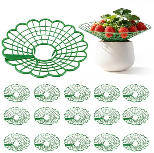 15 Stück Erdbeerstützen Ständer, Abnehmbares Erdbeeren Schutz, Pflanzenregal für Erdbeeren Pflanzen, Erdbeer Schutz Kann Schneckensicher und Korrosionsbeständig, Schafft Sicherheitsabstand zum Boden