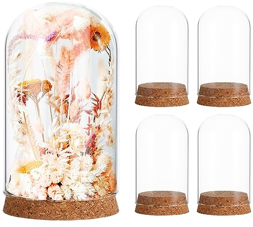 IMIKEYA Glasglocke, Tischdekoration, Glasglocke, Vitrine, Terrarium, Displaykuppel mit Korksockel für goldene Rosen, 5 Stück