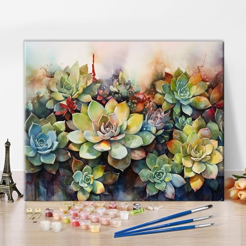 Bunte Sukkulenten Malen nach Zahlen für Erwachsene Kinder im Alter von 8-12 DIY Kunsthandwerk Anf?nger Grüne Pflanze Malen nach Zahlen Kit ?lmalerei Malen nach Zahlen Kits auf Leinwand Acryl 16 x20