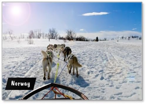 Kühlschrankmagnet Schlitten mit Husky-Hunden in Lnorway