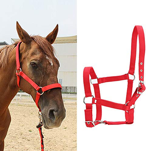 Pssopp Halfter Pferdehalfter hoher Dichte Halfter Horse Bridle Horse Control Bridle Halter Einstellbare Reitzubehör