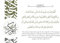 Poster Abu Bakr Siddiq RA Salawat mit Zitat (A3, 29,7 x 42,0 cm)