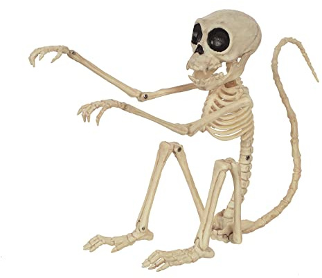 Crazy Bonez Kleiner Skelett-Affe