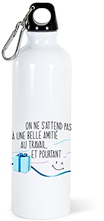 Gourde 750ml Collègue Bouteille d’Eau Aluminium Réutilisable Ecologique avec Mousqueton. Idée Cadeau Original Humour Homme Femme Retraite Mutation Pot Départ Sport Voyage Bureau Anniversaire Noël