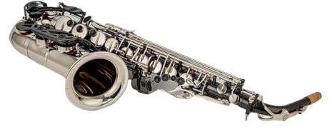 Saxophon Alto Eb Tune Saxophon Messing Musikinstrument Silber Lack Sax Mit Fall Mundstück(Canvas bag)