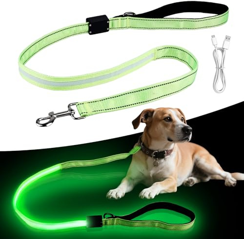 Behogan LED Hundeleine, 1.2M Wasserdicht Nylon LED Hundeleine, USB Wiederaufladbar Lichtfunktion Hundeleine Reflektierend, Clip Lampe für Nächtliche Spaziergänge (Grün)