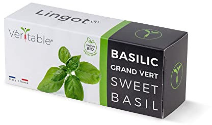Véritable Lingot (Neuartige Aromatische Kräuter, Bio-Genoveser Basilikum)