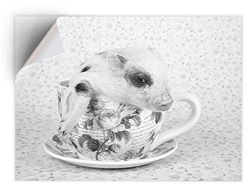 1 x A4 Vinyl Sticker - Cute Micro Pig Teacup Art Print Decal - Sticky Back Sticker Sheet #39268