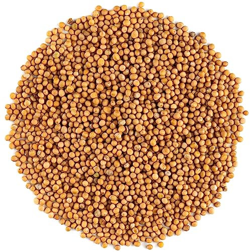 Graine De Moutarde Jaune - Graines De Moutardes Blanche Graines De Moutarde Bio Un Grain De Moutarde Graines Moutarde Jaune Moutarde Graine Moitarde Grainé De Moutard Moutardr