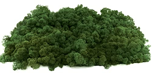 INMO Moos - Islandmoos echtes Natur Moos konserviert 1 KG Laubgrün. Dekomoos zum Basteln, Moosbild, Wand-Bilder, Wanddeko, Modellbau weitere Farben und Mengen zur Auswahl 40g - 500g 1 KG - 4 KG