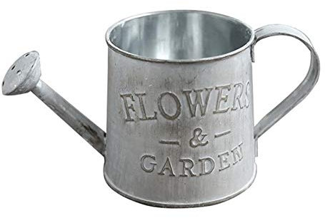 ZXMJYHK Can Rustic Style Flower Pot Metal Jug Pitcher Tin Bucket Watering Can Shape Portable Plant Pot Home Decor Creative Flower Vase (Color : Light Grey)