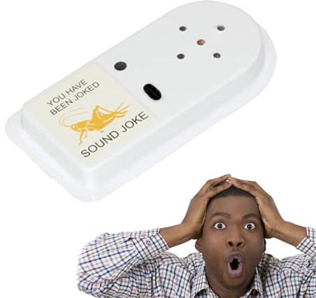 Grill Noise Generator - Lustiger elektronischer Soundgenerator | Scherzen mit Fernbedienung | Versteckter Geräuschgenerator für Erwachsene | Ideal für Urlaub, Büro, Zuhause, Schule u