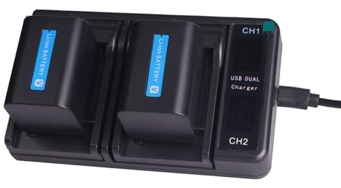 Lot de 2 Batteries NP-FV70 NP FV70 3000 mAh + Chargeur LCD USB pour Sony NP-FV50 FV30, FV100 ; série V, Handycam HDR-CX230 HDR-CX150E HDR-CX170 CX300 Z1 caméscope