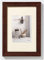 Walther Design HO318P Home Cornice, Legno, Marrone, 13 x 18 cm