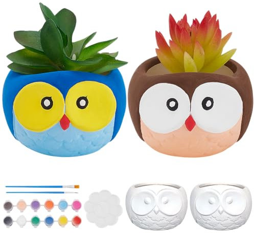 WEBEEDY 2 PCS Graduation Ceramic Owl Painting Kit Ceramic Owl Pottery Kit for Adults Beginners Paint Your Own Owl Succulent Pots DIY Plant Pots Arts Crafts Kit for Fun Home Acticity Graduation Gift