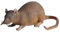 Interactive Toy | Stretchy Realistic Mice Toy - Creepy Fake Fake Mice, Halloween Party Props, Joke Prank -Toys For -Kids- Adults