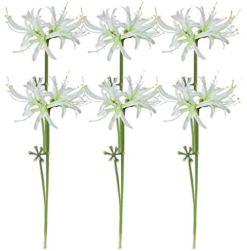 Qingriver Lot de 6 tiges artificielles Lycoris Radiata de lys araignée 66,38 cm pour la décoration de la Maison et du Jardin (Blanc)