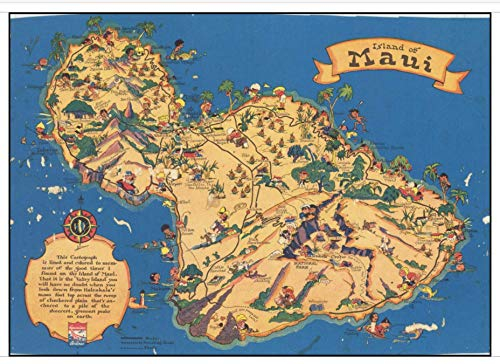 Maui Poster Reproduktion – Format 50 x 70 cm Luxuspapier 300 g – Verkauf der digitalen Datei HD möglich