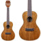 KALA KA-KCG - Hawaiian Koa Gloss Concert Ukulele